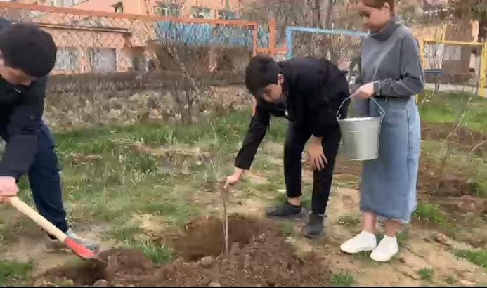 "НАУРЫЗНАМА"  19 наурыз - "Жаңару күні" "Ағаш отырғызу" акциясы.